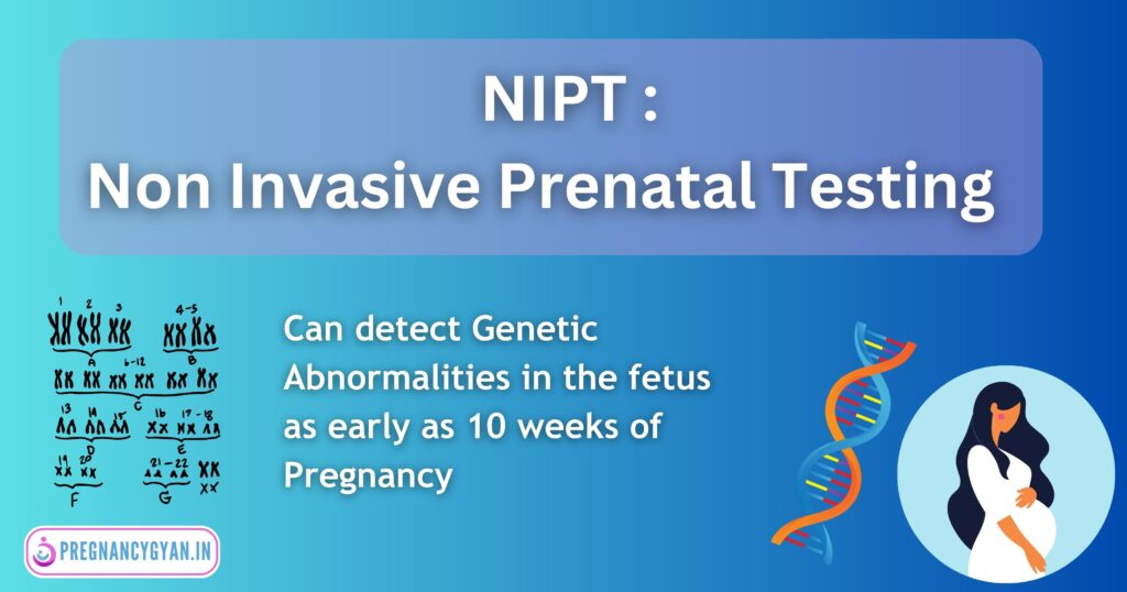 nipt test in pregnancy