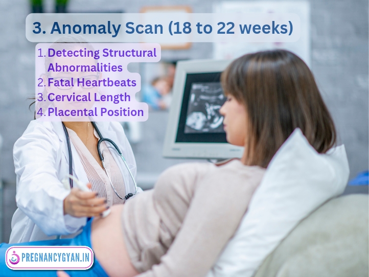 Level 2 ultrasound in pregnancy