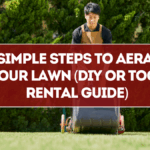 5 Simple Steps to Aerate Your Lawn (DIY or Tool Rental Guide)