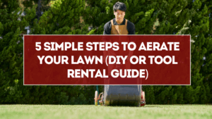 5 Simple Steps to Aerate Your Lawn (DIY or Tool Rental Guide)