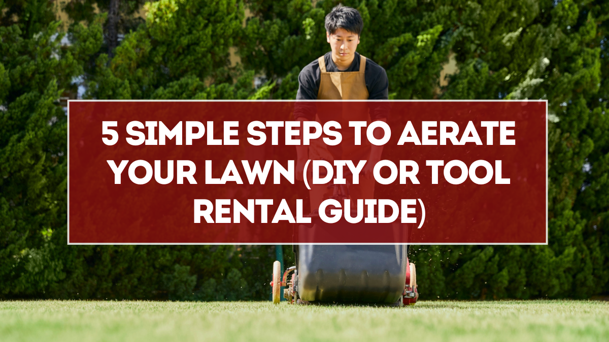 5 Simple Steps to Aerate Your Lawn (DIY or Tool Rental Guide)