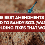 The Best Amendments to Add to Sandy Soil (Water-Holding Fixes That Work)