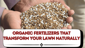 Organic Fertilizers That Transform Your Lawn Naturally