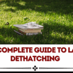 The Complete Guide to Lawn Dethatching