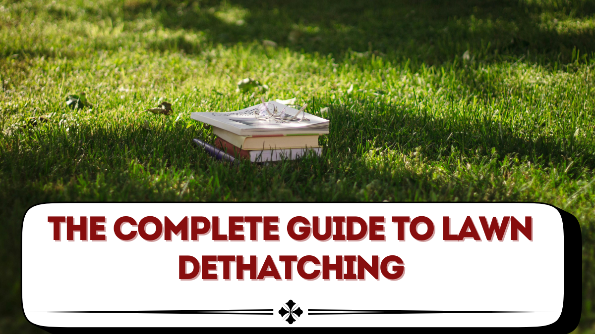 The Complete Guide to Lawn Dethatching