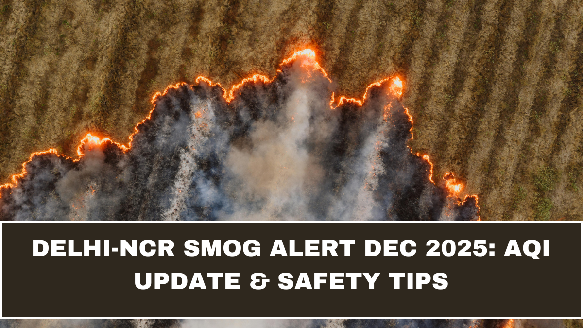 Delhi-NCR Smog Alert Dec 2025: AQI Update & Safety Tips