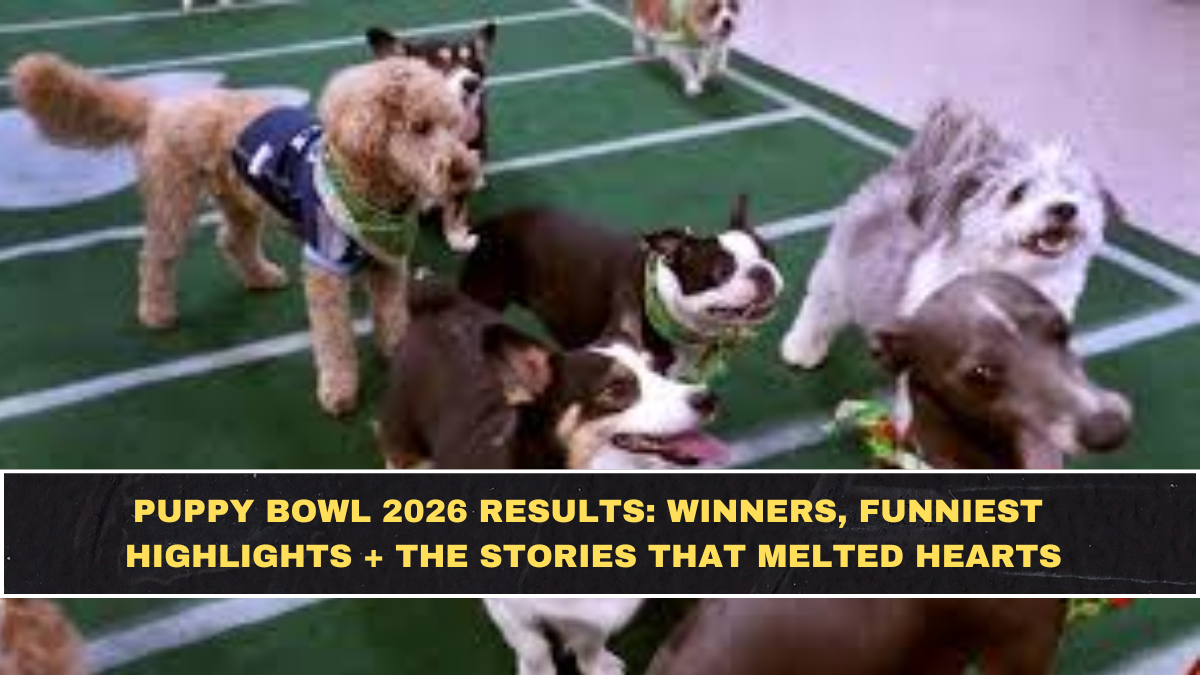 Puppy Bowl 2026 Results: Winners, Funniest Highlights + The Stories That Melted Hearts