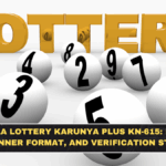 Kerala Lottery Karunya Plus KN-615: Result, Winner Format, and Verification Steps