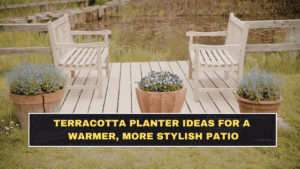 Terracotta Planter Ideas for a Warmer, More Stylish Patio