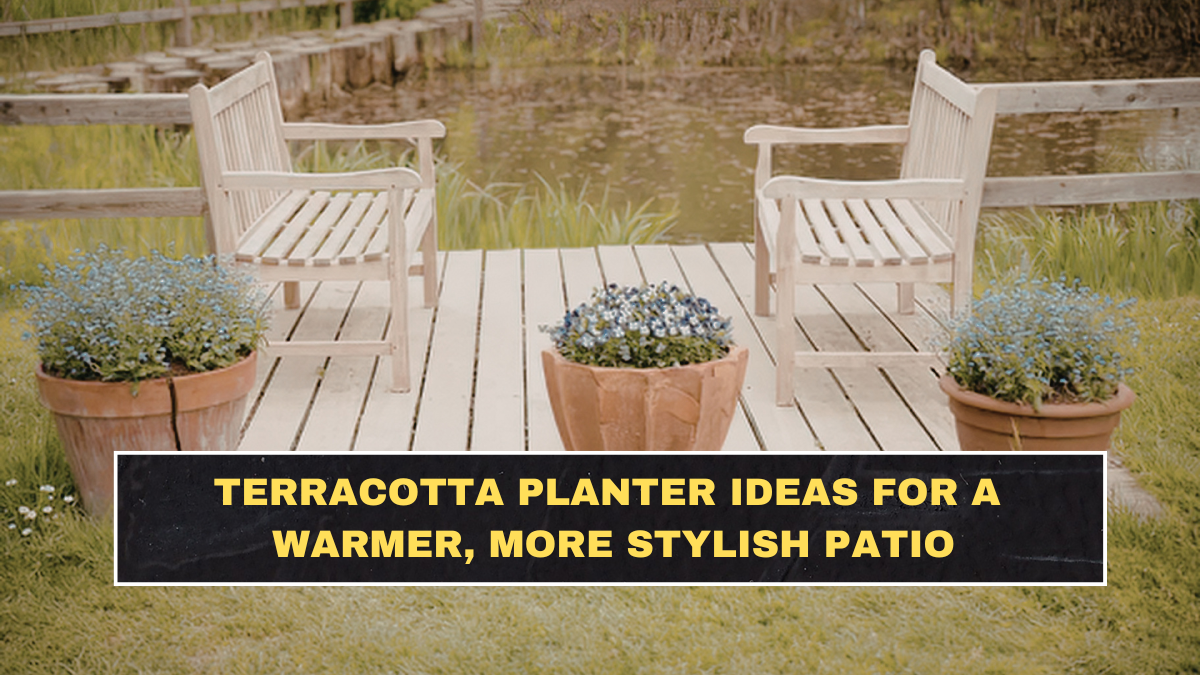 Terracotta Planter Ideas for a Warmer, More Stylish Patio