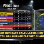 IPL Net Run Rate Calculator: How One Match Can Change Playoff Chances