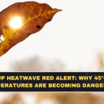 UP Heatwave Red Alert: Why 45°C Temperatures Are Becoming Dangerous