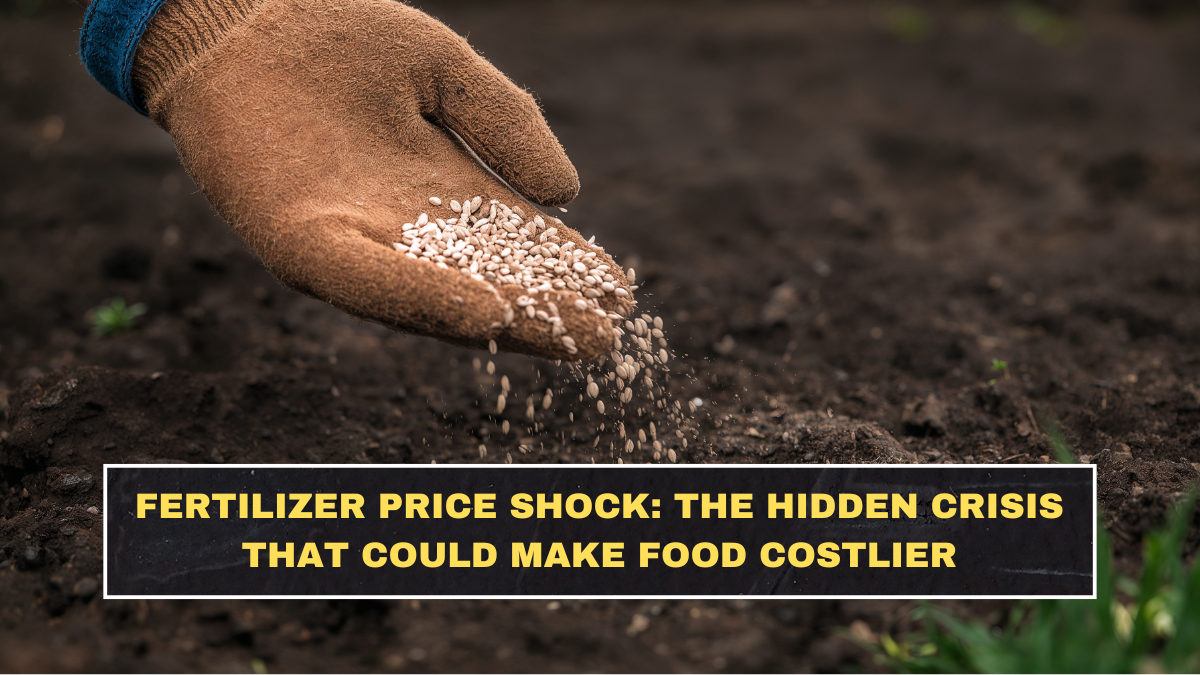 Fertilizer Price Shock: The Hidden Crisis That Could Make Food Costlier
