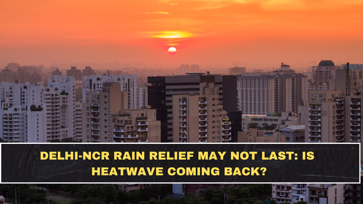 Delhi-NCR Rain Relief May Not Last: Is Heatwave Coming Back?