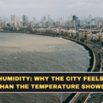 Mumbai Humidity: Why the City Feels Hotter Than the Temperature Shows