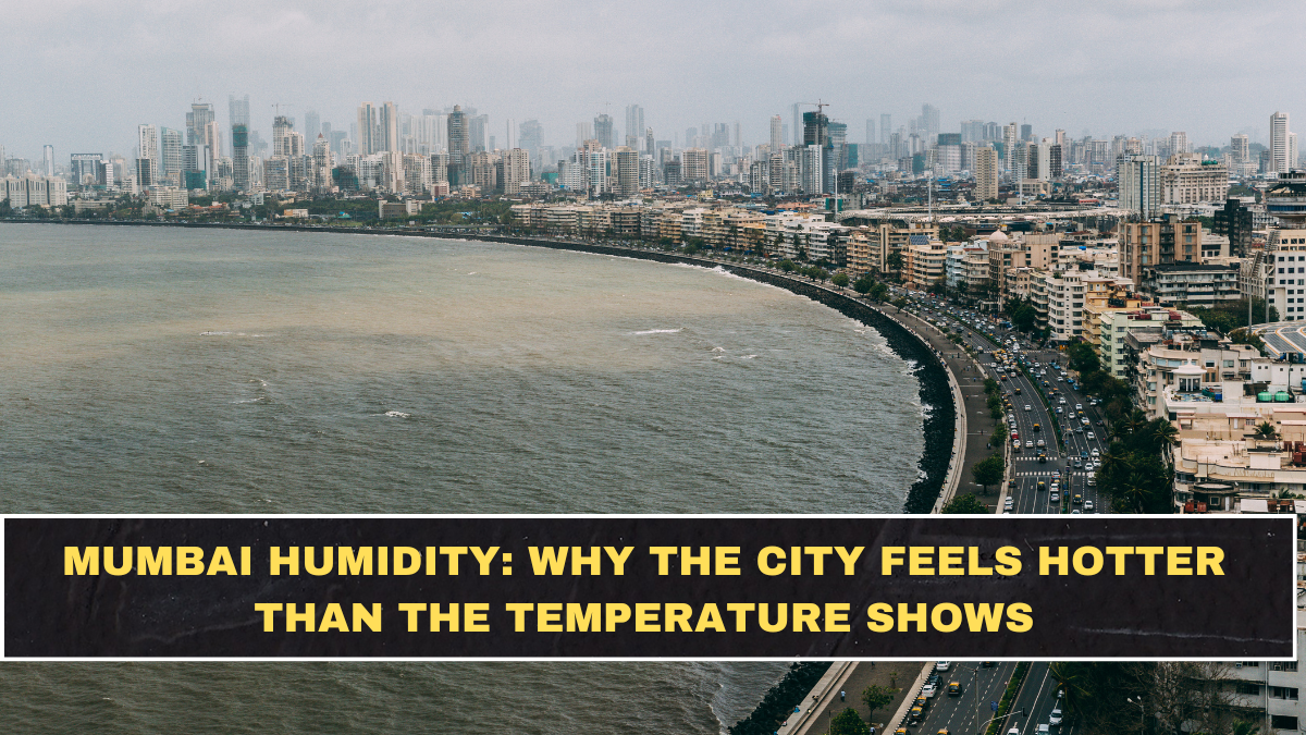 Mumbai Humidity: Why the City Feels Hotter Than the Temperature Shows